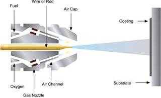 FLSP-1